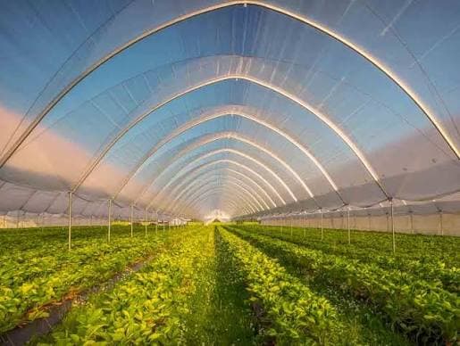 Greenhouse & Shade Net