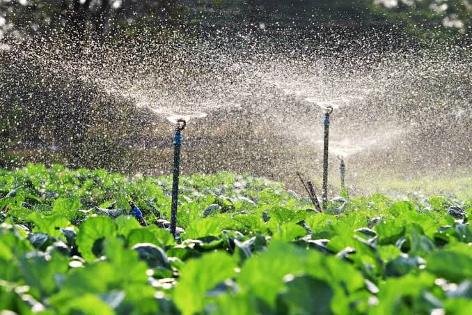 Sprinkler Irrigation System
