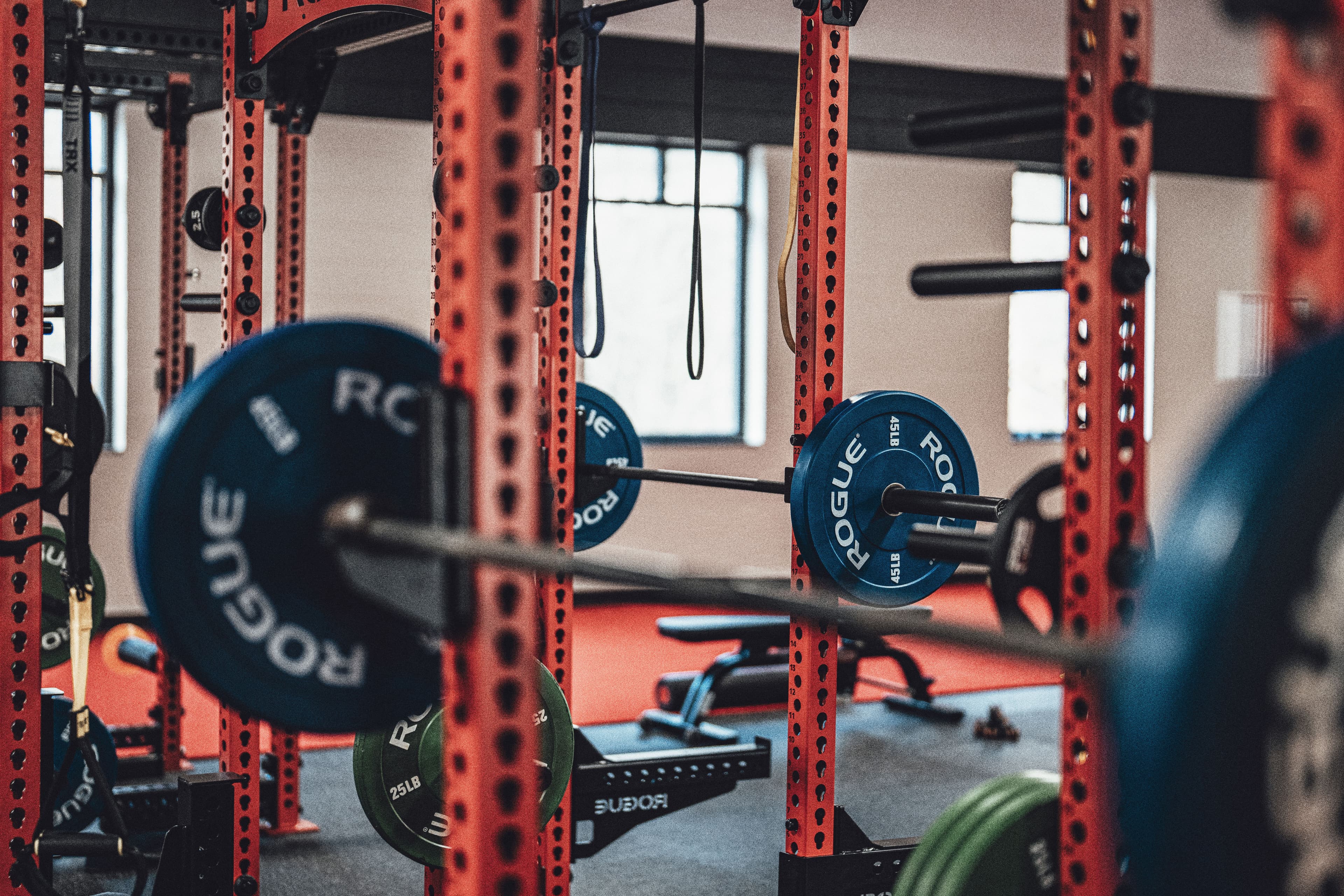 Barbell & Weight Plates